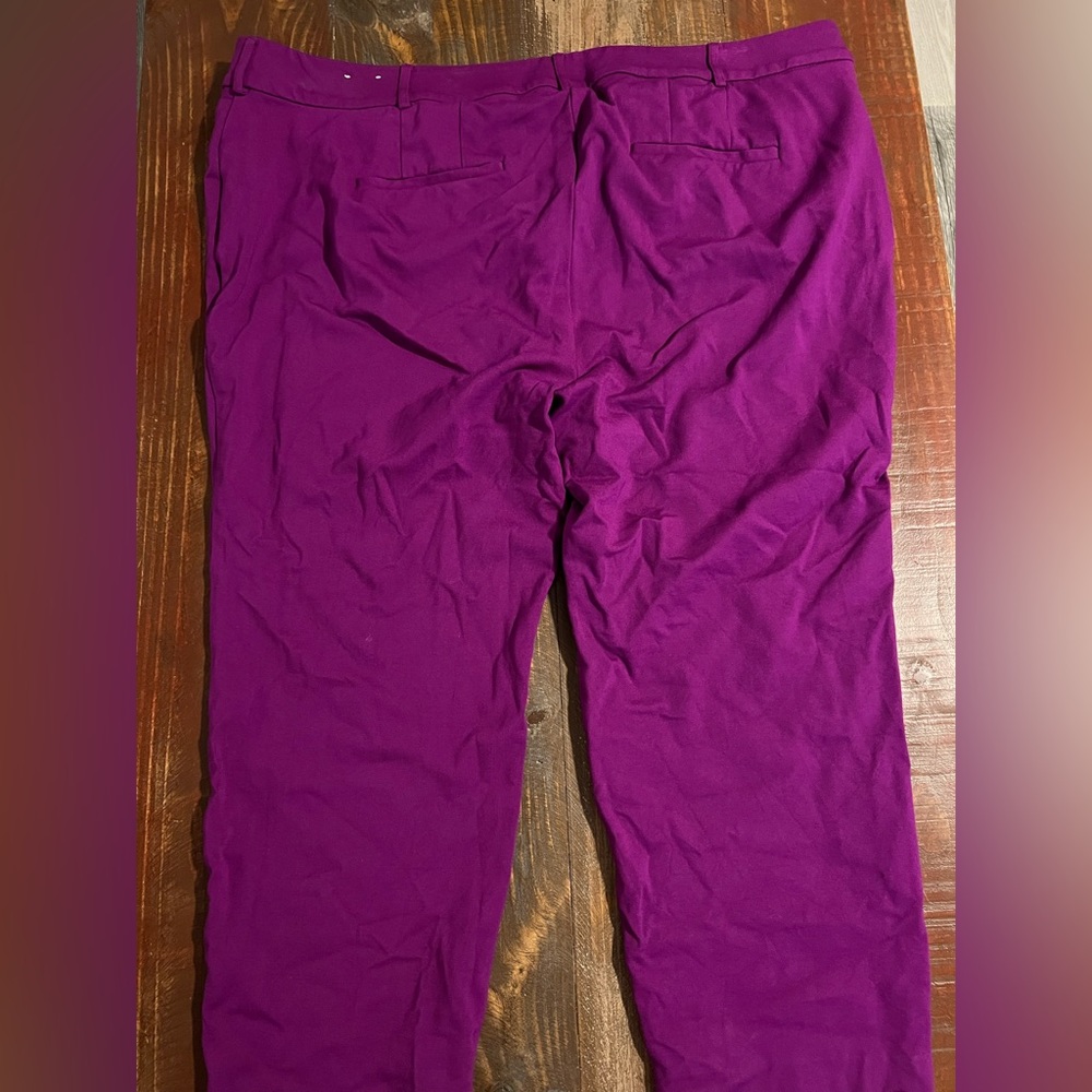 Lane Bryant purple dress pants